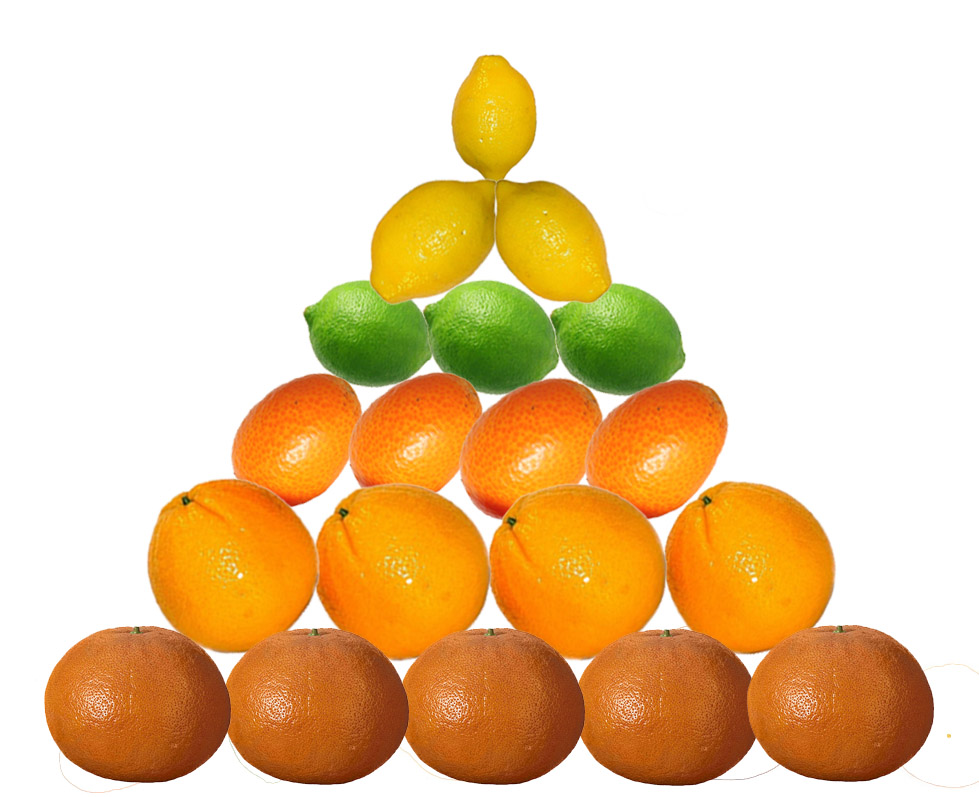 case 2-2 fruit